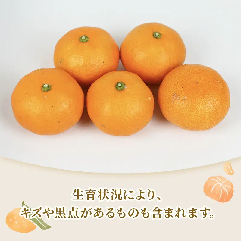 【温州】 南柑20号 2 ~ 3kg 矢野青果 温州 B012-171006