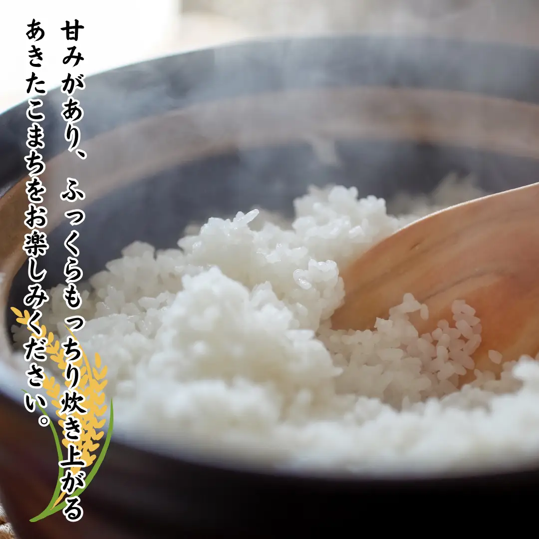 【令和8年産】いでさん家のあきたこまち　白米10kg［ID-101］