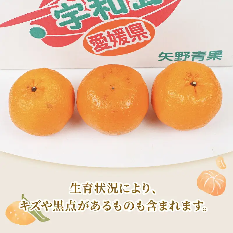 【矢野青果ポンカン】冬の柑橘 ポンカン 2~3kg B012-171008