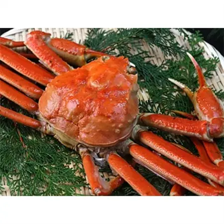 【発送月固定定期便】カニの定期便(梅)＜冷凍発送＞全3回【配送不可地域：離島】【4002718】