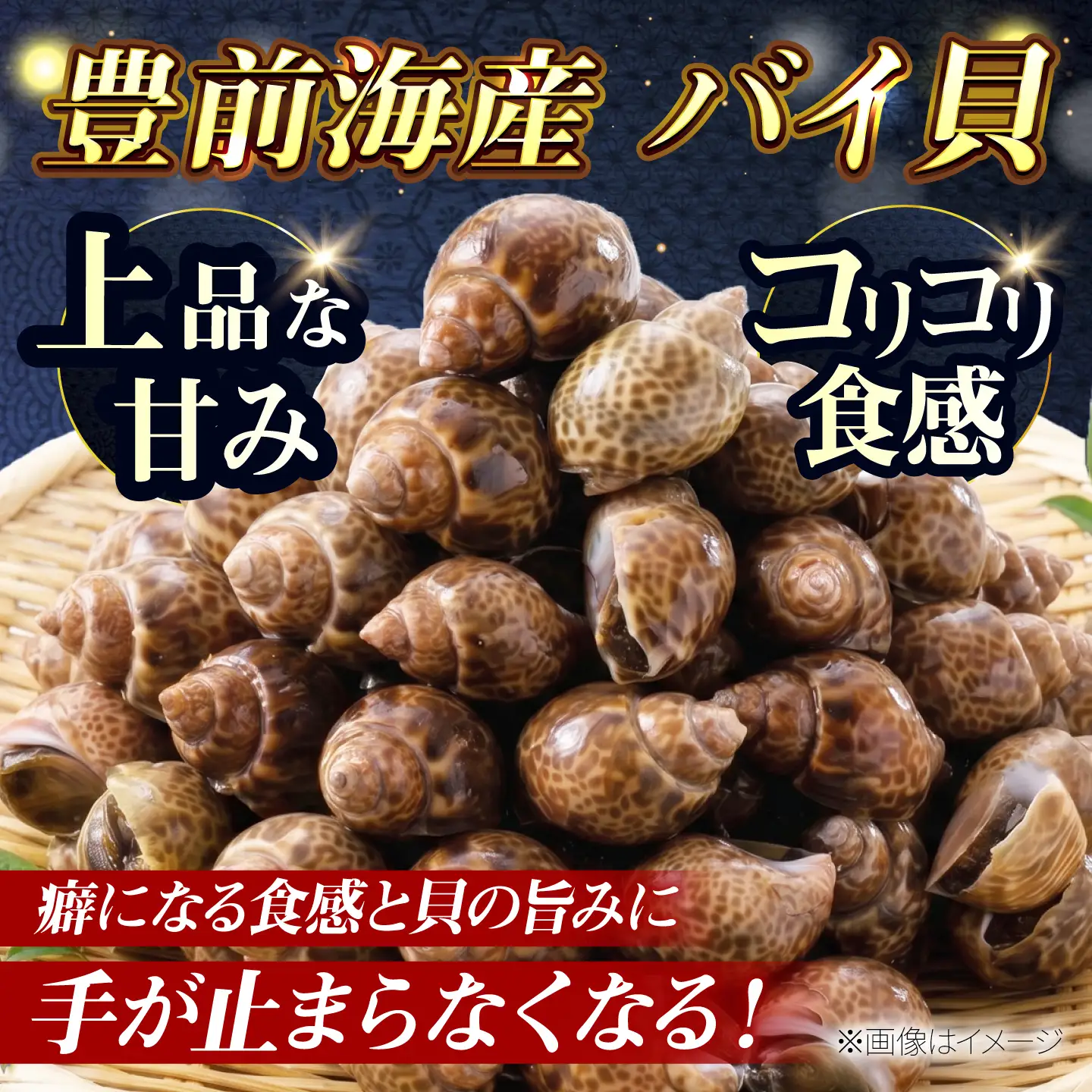 豊前海産 バイ貝 1kg (20-35個前後) バイガイ 貝 カイ [ABCB004] 