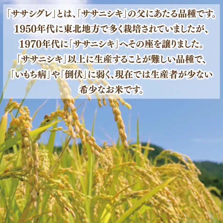 ★令和7年産★ ささしぐれ 10kg (精米) DE007