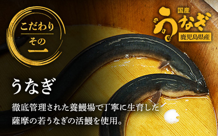 鹿児島県産うなぎ使用 冷凍うなぎめし 2食セット ※離島への配送不可 FAA-078