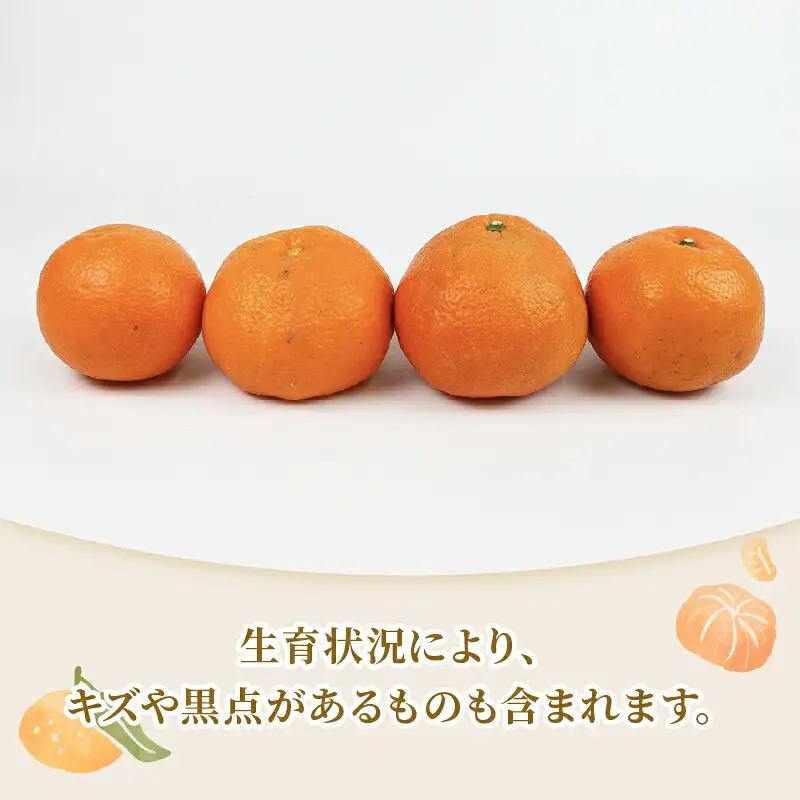 準 贈答用 伊予柑 みかん 5kg 矢野青果 みかん B012-171011