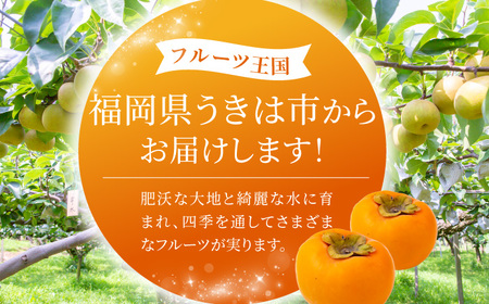 【先行予約】有機配合肥料使用 富有柿 10玉から12玉 2026年11月上旬から11月下旬 出荷予定【春光園】 柿 かき 甘柿 甘い 果物 フルーツ