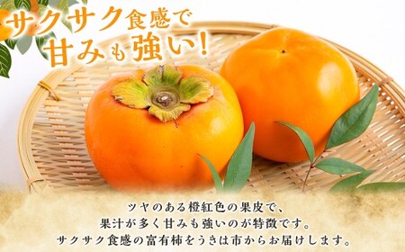 【先行予約】道の駅うきは 富有柿 14玉から15玉 2026年11月上旬から11月下旬 出荷予定