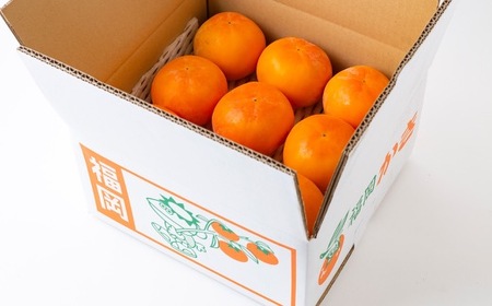 逸品富有柿 16玉から18玉 2Lサイズ (約5kg) 【2026年11月下旬-2026年12月上旬発送予定】 柿 果物 フルーツ うきは市