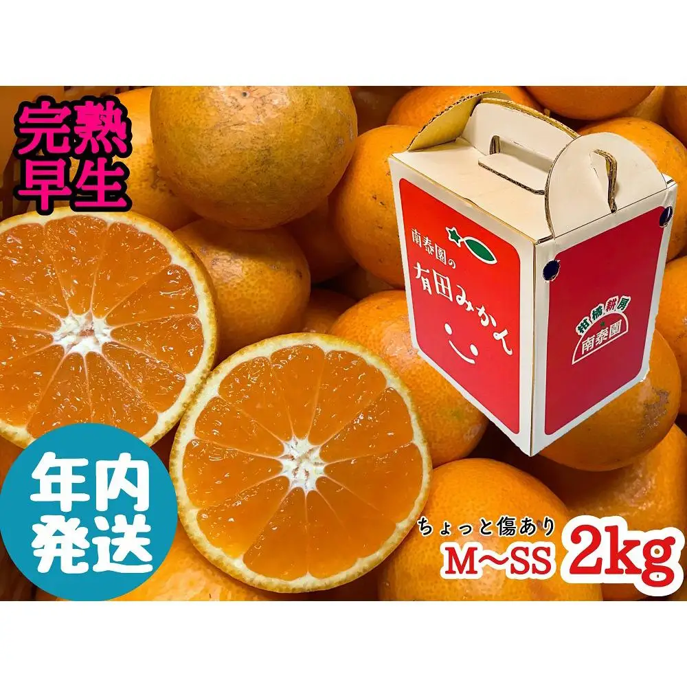 《みかんは年内発送》定期便 手さげ箱 セット 完熟早生 有田みかん ＆ はっさく 全2回 南泰園