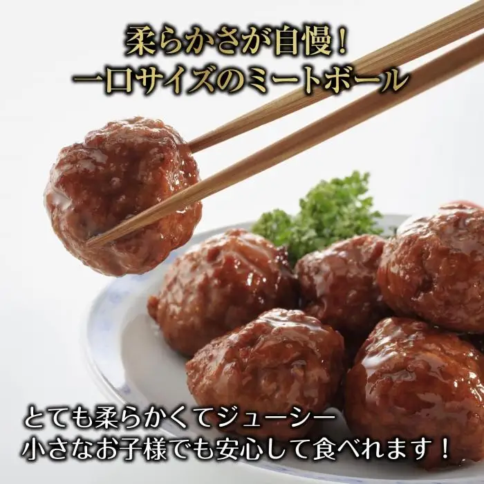 和豚 もちぶた ミートボール 2種 食べ比べ 各160g×2袋 計4袋 ミートソース デミグラス もちぶた100%使用 国産 豚肉 ポーク 冷凍 手軽 おかず 肉の片山 送料無料 新潟県 南魚沼市｜チルド