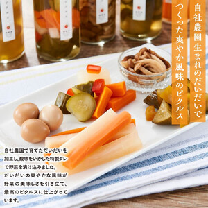 だいだい農家が作った 伊豆ピクルス５本セット