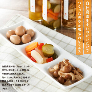 だいだい農家が作った  伊豆ピクルス３本セット