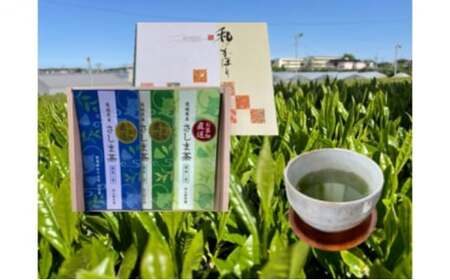 特選さしま茶 