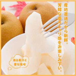 秋の味覚 和梨（幸水・豊水・新高・南水） 6玉入り 化粧箱【BARU バイオジャパン吉村株式会社】[B6-99008]