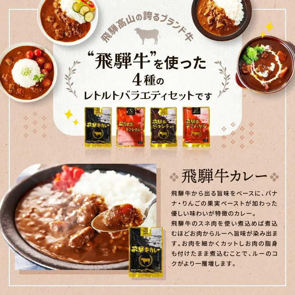 飛騨牛レトルト4種12袋セット カレー | カレー  ビーフシチュー  DC002VC13