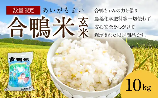 〈令和7年産〉合鴨米 玄米 10kg【2025年10月上旬～2026年10月上旬発送予定】
