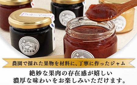 自家栽培 フルーツジャム 詰め合わせ セット （ 3種類 x 2個 ） 6個 入 | フルーツ 果物 くだもの いちご 苺 ブルーベリー 桃 もも ストロベリー ピーチ ジャム レモン 果汁 無添加 奈良県 五條市 西岡農園 安心 安全 果肉 濃厚 贅沢 新鮮 低農薬栽培 お取り寄せ 送料無料 農家直送 産地直送 フレッシュ 食べ比べ