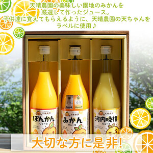 愛媛県明浜産 天晴兄妹みかんジュース（天晴みかん・ぽんかん・河内晩柑） 3種類セット AAN0029