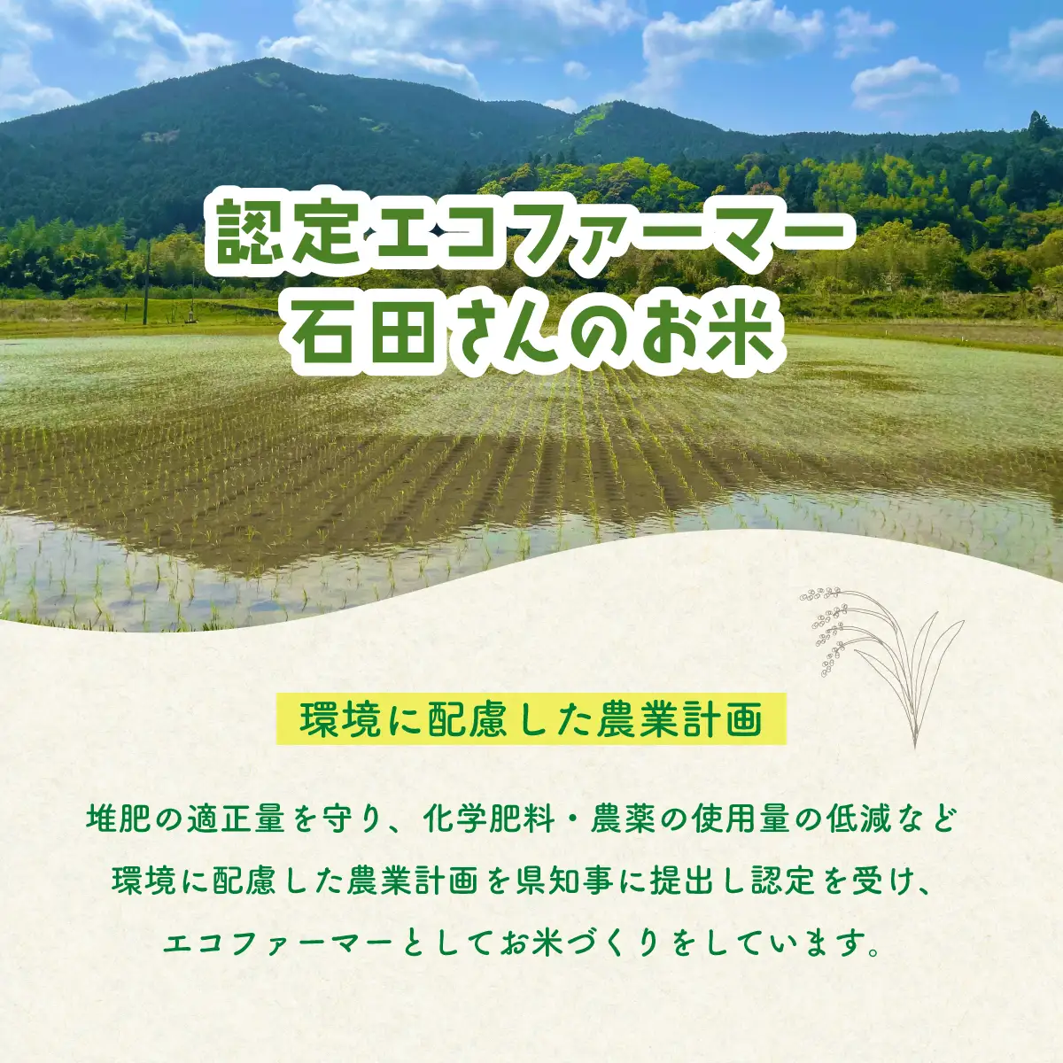 認定エコファーマー栽培　海部清流米コシヒカリ５㎏