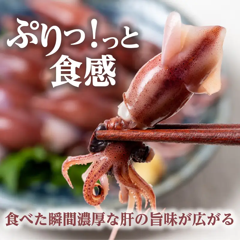 《先行予約》 ボイル ホタルイカ 小分け 250g×4パック 酢味噌付 【令和9年3月以降発送予定】 ほたるいか いか イカ 10-14