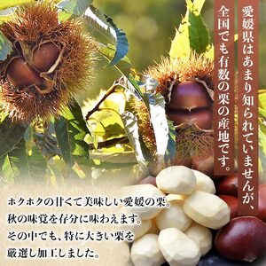 【先行予約】＜厳選 大粒むき栗 合計600g（200g×3袋）＞ くり 生栗 剥き栗 マロン フルーツ 果物 モンブラン 栗ご飯 栗きんとん 栗の甘露煮 秋の味覚 特産品 国産 宇都宮物産 愛媛県 西予市【冷蔵】『2026年10月上旬～10月下旬迄に順次出荷予定』UUB0043
