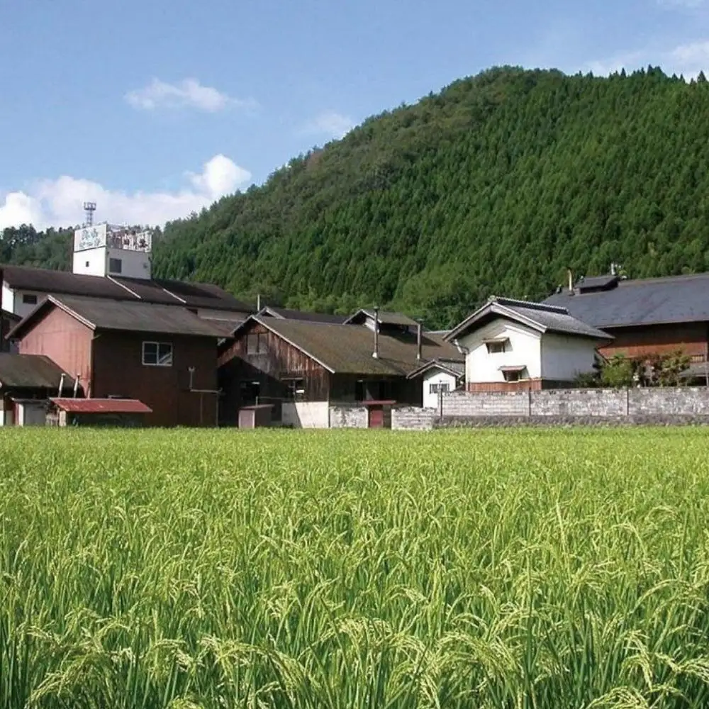 【羽田酒造】初日の出「蒼光」純米大吟醸（桐箱入）