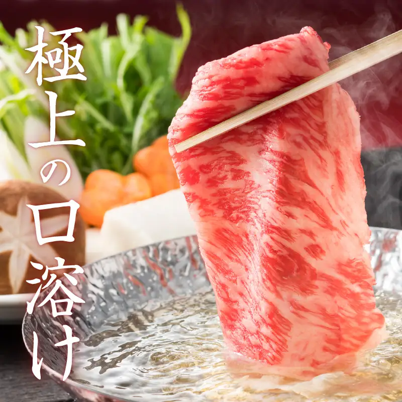 【 訳あり 】 A5 等級 黒毛和牛 サーロイン 大判 スライス 500g × 2P K002-032 肉 牛肉 冷凍