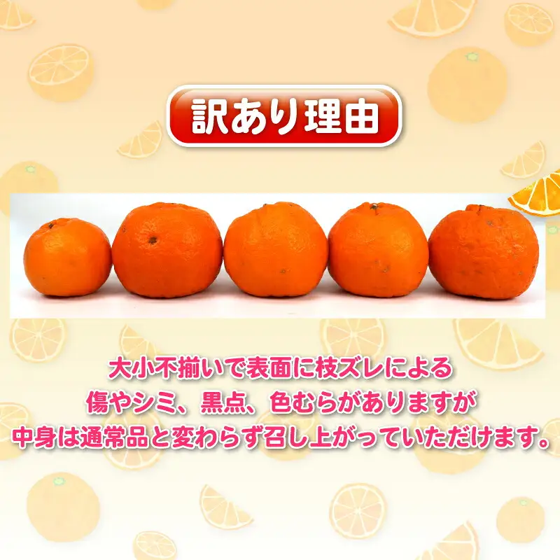 【先行予約】訳あり ポンカン 5kg 杉本屋 【2027年1月中旬～2月下旬 発送】B010-143005