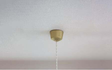照明 ペンダントランプ 明星 大 コード70cm FUTAGAMI 工芸品 伝統技術 ギフト 贈り物 プレゼント 日用品 ライト ランプ インテリア おしゃれ  FAD-2059