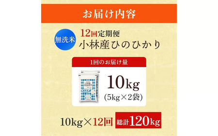【定期便 全12回】【令和7年産米】無洗米ヒノヒカリ 10kg×12回（お米 米 ひのひかり 無洗米 令和7年産 国産 人気 お弁当 定期便 宮崎県 小林市）