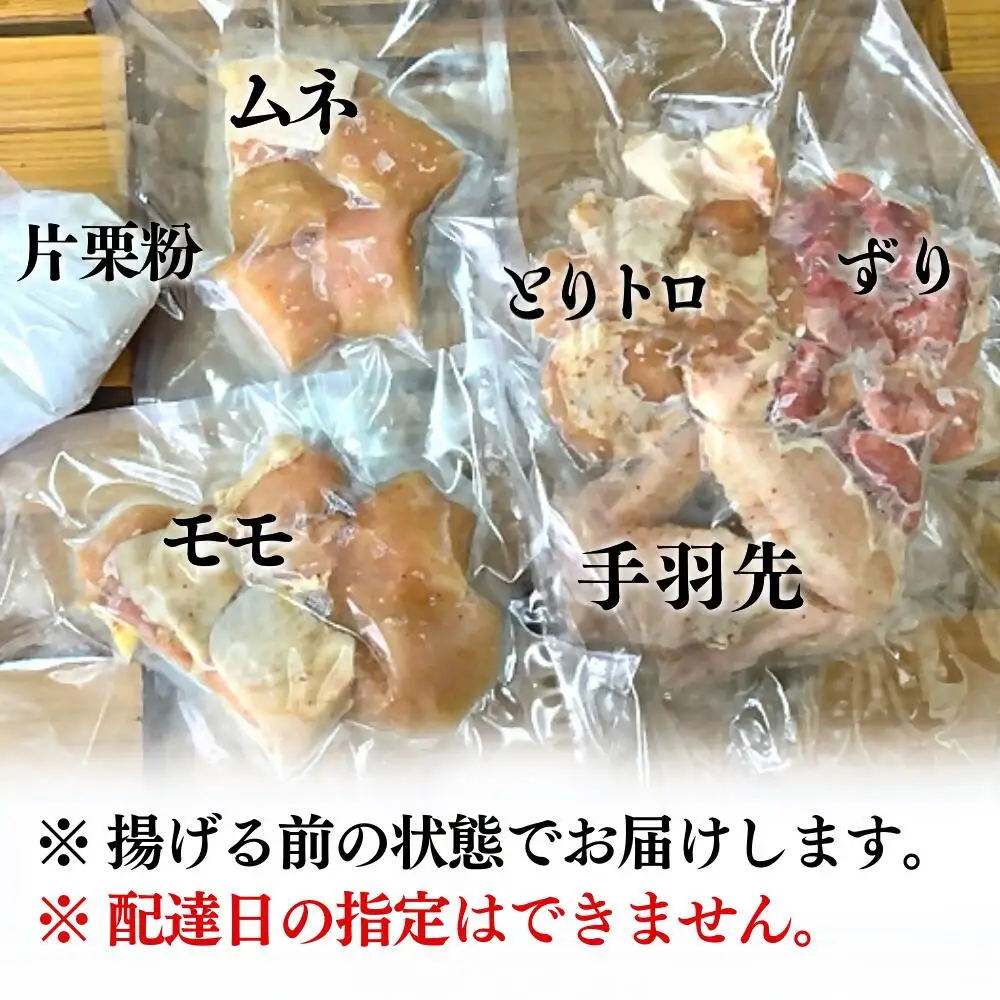 【からあげ壱気】大分からあげ600g×2セット(モモ、とりトロ、ムネ、ずり、手羽先) | 豊後高田市 唐揚げ
