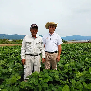 （冷蔵） 田原本町の鎌田ファームで育てた奈良県産 大和大鉄砲大豆使用 大鉄砲豆冨詰合せ 5種類 ／ 三木豆腐 もめん よせ きぬこし 濃とろ 豆乳 大豆 ヘルシー ダイエット 幻 奈良県 田原本町