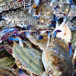 活〆 生 ワタリガニ (大) 1kg 3~5杯 オス 冷凍 特製 三杯酢付き セット 旬 期間限定 海鮮 魚貝 魚介 新鮮 わたりがに ワタリガニ