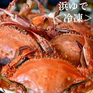 浜ゆで ワタリガニ (大) 1kg 3~5杯 オス 冷凍 特製 三杯酢付き セット 旬 期間限定 海鮮 魚貝 魚介 新鮮 わたりがに ボイル ワタリガニ