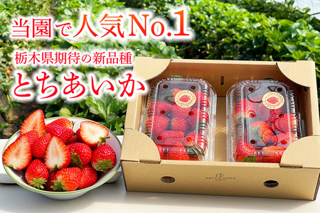 [先行予約] 可愛いハート形 日光産 とちあいか 約300g×2パック 計約600g 【2027年1月中旬から順次発送】 [0967]