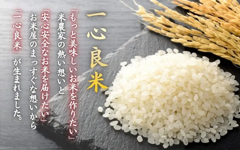 ＜全6回定期便＞ 米 岡山県産精米 令和7年産コシヒカリ『 一心良米 』無洗米10kg(5kg×2袋）×6回定期便 【tkns-tkb037-cho】
