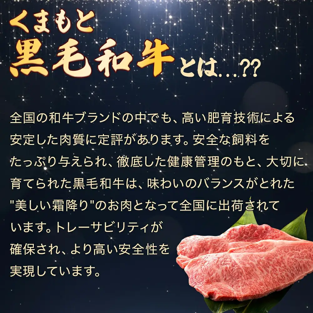 【G1認証】くまもと黒毛和牛 サーロインステーキ 【豪華ブロック】約1.8kg【 ブランド 牛肉 ステーキ 大容量 熊本県産 熊本 サーロイン 霜降り 肉 高級 黒毛和牛 和牛 】100-0003