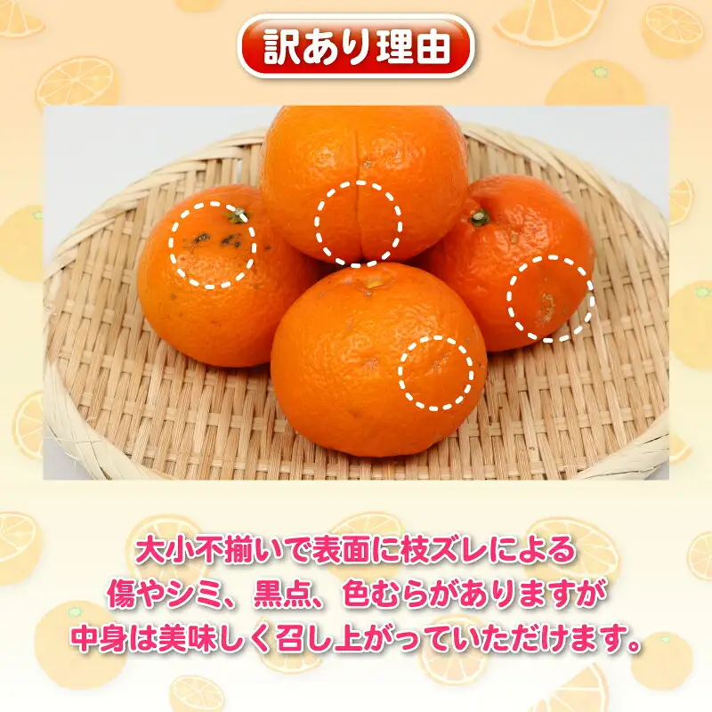 【2026年1月中旬～発送予定】訳あり伊予柑5kg杉本屋 果物 果物 B010-143006
