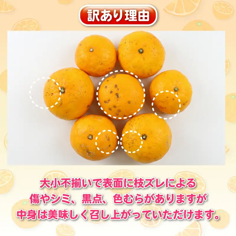 訳あり ひめのつき 5kg 杉本屋 柑橘 柑橘 B010-143007
