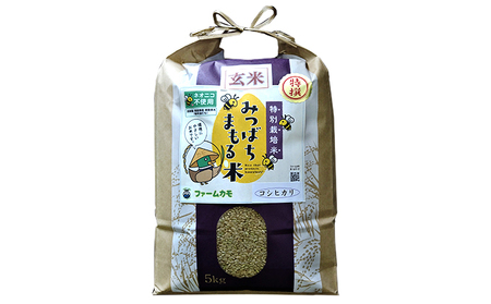  2025年10月上旬以降発送【定期便3回】雄踏ファームカモ産「特選みつばちまもる米」玄米5kg コシヒカリ（3ヶ月連続・合計15kg） お米 コメ ご飯 ライス 特別栽培米 検査米 1等米 静岡 浜松