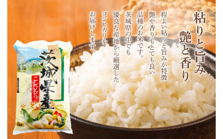 茨城のお米食べ比べセット　茨城コシヒカリ 5kg×1袋 ミルキークイーン 5kg×1袋 合計10kgセット (KY-15)