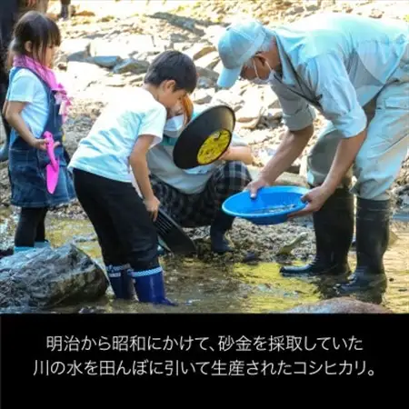 R8年産 秘境の地の砂金米 こがねもち 精米2kg【1441587】