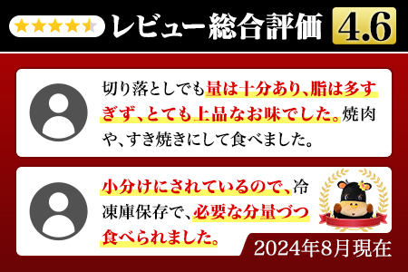 伊万里牛 切り落とし 800g 炒め物 焼肉 牛丼におすすめ！ 	001-J1845