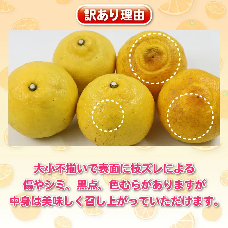 はるか 訳あり はるか 5kg 杉本屋 B010-143008