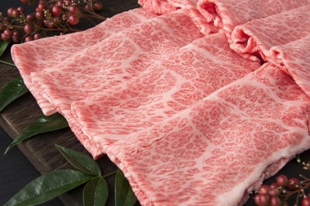 伊万里牛 肩ローススライス すき焼き 焼肉用 500g 001-J245