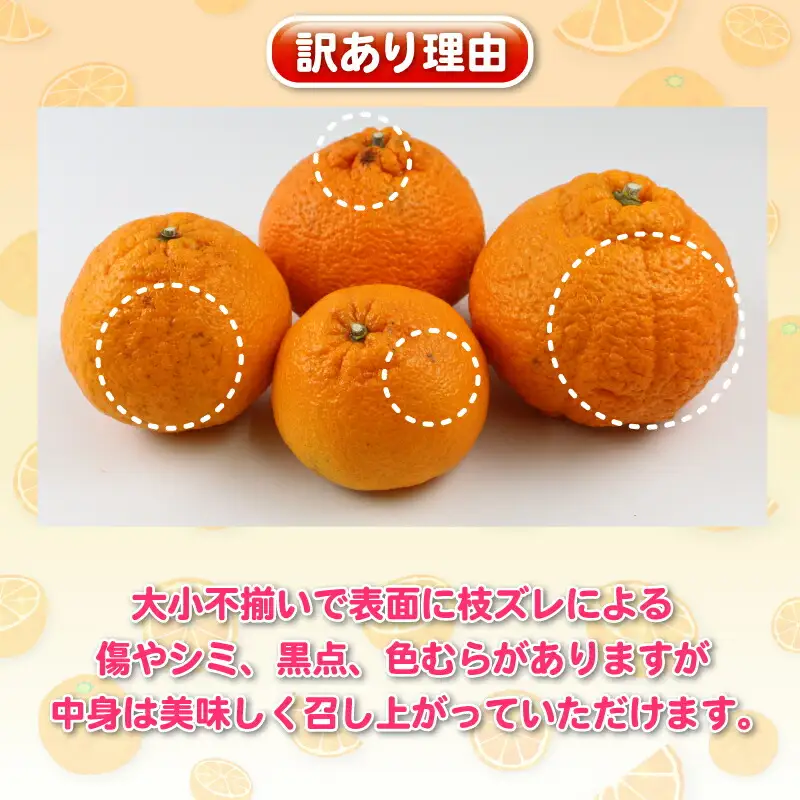 訳あり ( デコポン と同品種) デコポン 杉本屋 B010-143009
