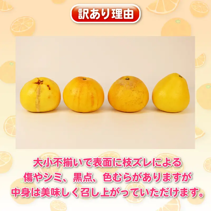 杉本屋 土佐文旦 8kg 文旦［B010-143010］