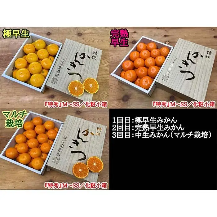 定期便 有田みかん 食べくらべ 3種 化粧小箱 各約 2kg 南泰園 全3回 2026年 10月 発送開始 みかん