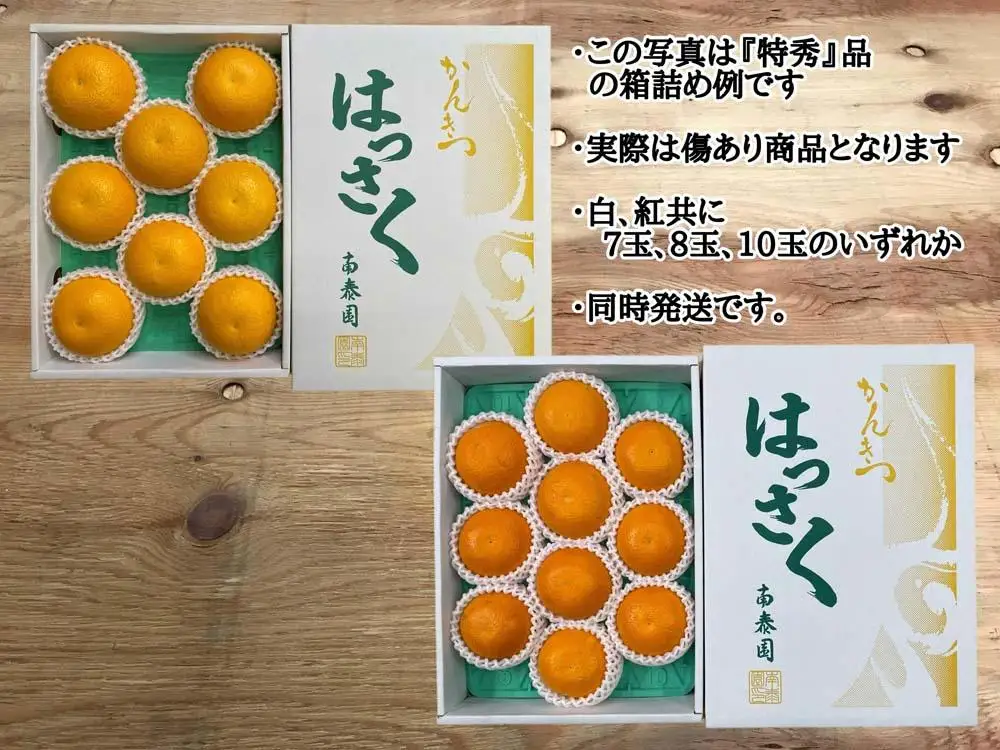 化粧箱 有田 はっさく 紅白 食べくらべ ちょっと傷あり 二級品 みかん
