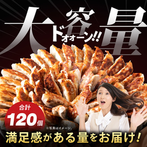 満腹餃子 リピーター続出！ボリューム満点！120個（３kg ）老舗 大容量 国産 焼き餃子 冷凍 ぎょうざ ギョーザ 冷凍餃子 簡単調理 惣菜 おかず おつまみ スタミナ 高評価 水戸市 茨城県（EJ-13）