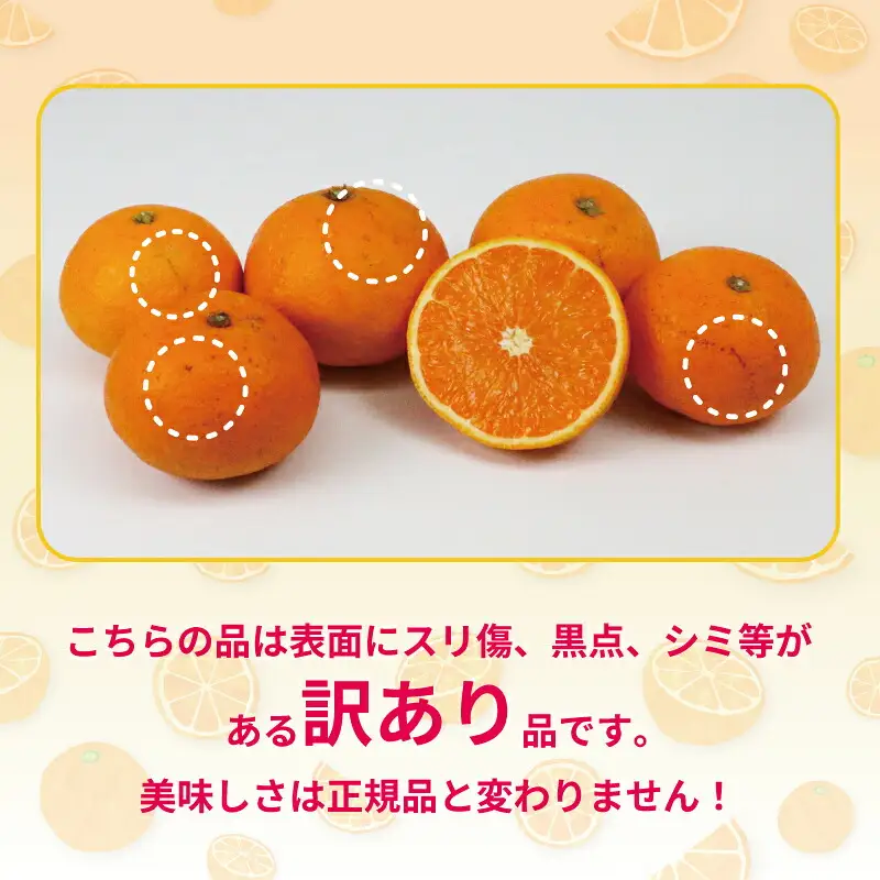 訳あり 清見 オレンジ 5kg 杉本屋 オレンジ B010-143011